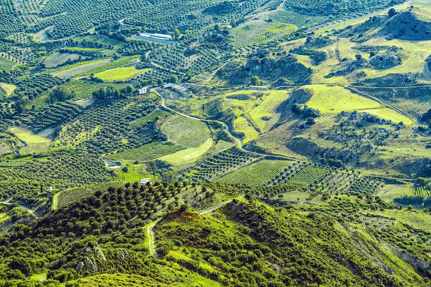 Territorio-Puglia copia