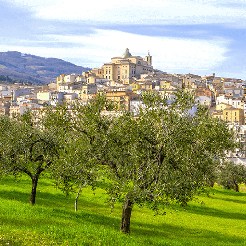 biccari panorama con ulivi_74A5520